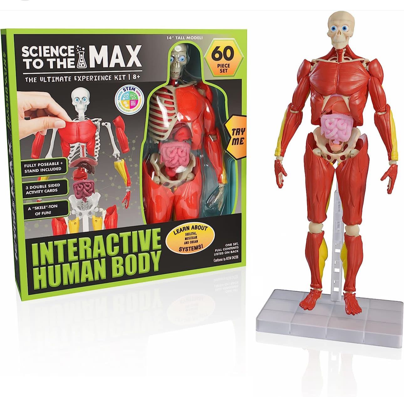 Cuerpo Humano - Science To The Max